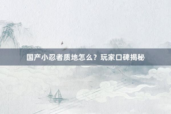 国产小忍者质地怎么？玩家口碑揭秘